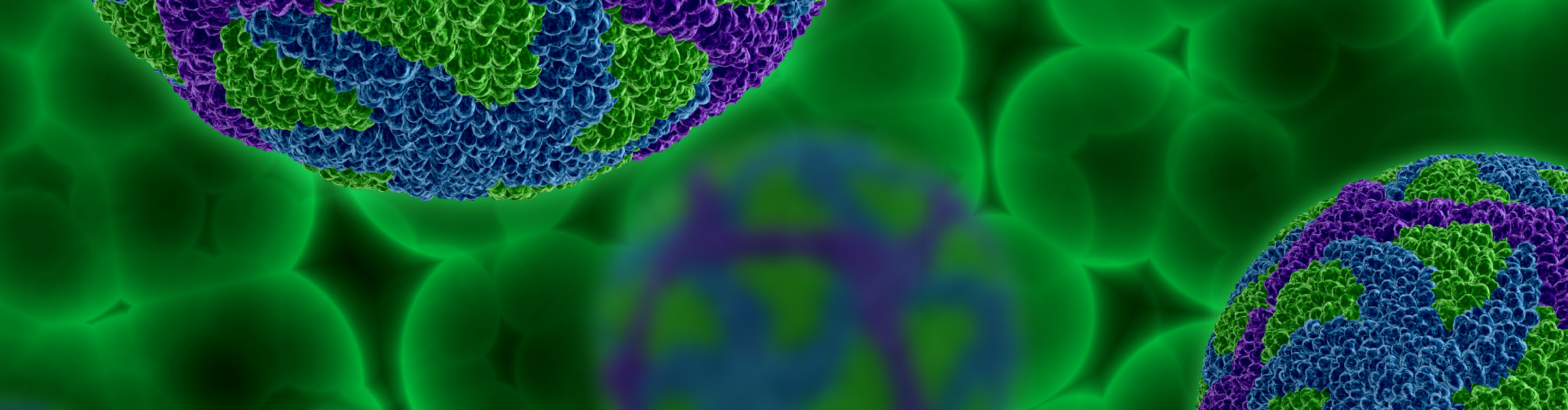 Foot-and-Mouth Disease updates: Emerging Strains and Control Strategies - 9/4/2026