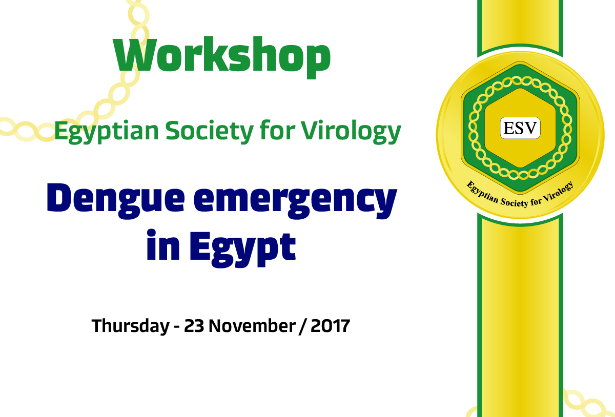 Dengue emergency in Egypt